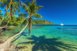 Beach in French Polynesia